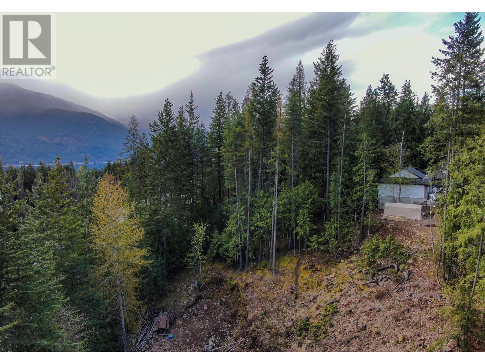 Lot 8 Balfour Avenue, Kaslo, British Columbia  V0G 1M0 - Photo 3 - 2476713