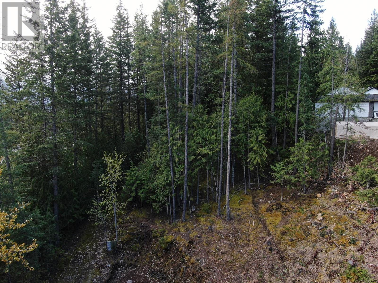 Lot 8 Balfour Avenue, Kaslo, British Columbia  V0G 1M0 - Photo 4 - 2476713