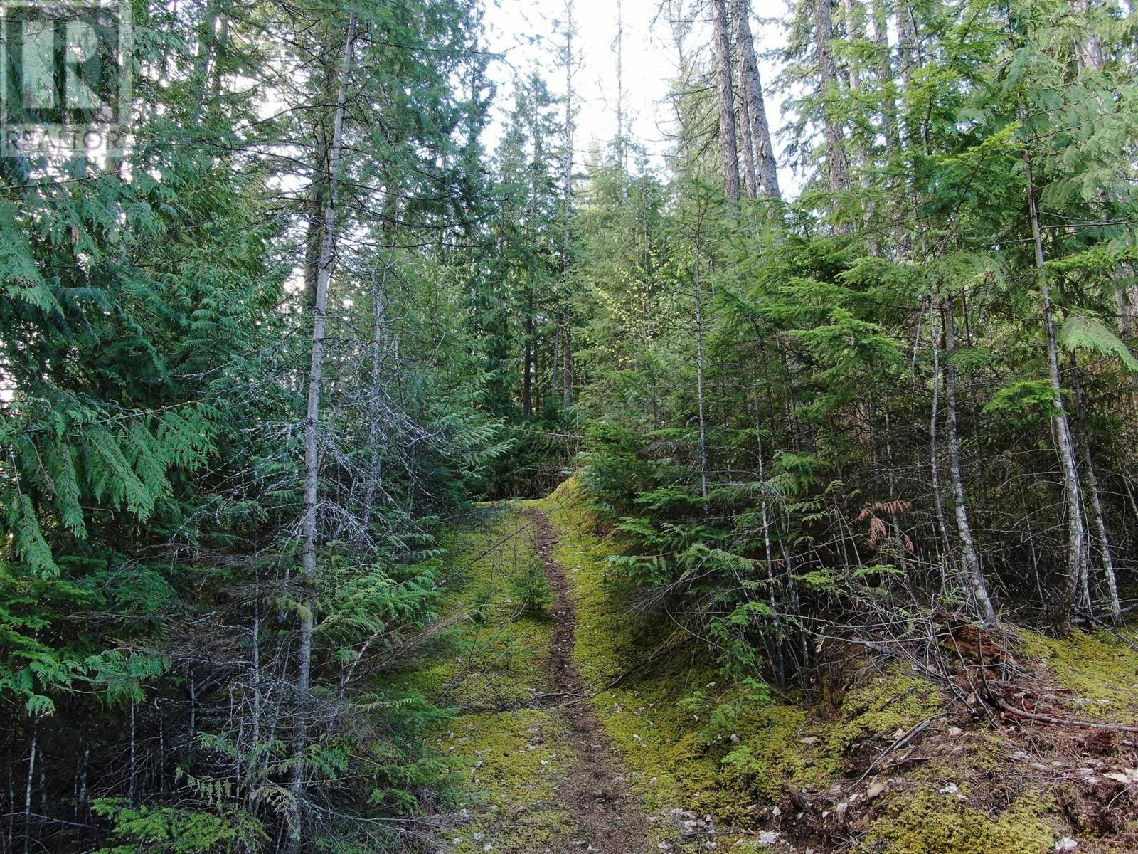 Lot 8 Balfour Avenue, Kaslo, British Columbia  V0G 1M0 - Photo 5 - 2476713