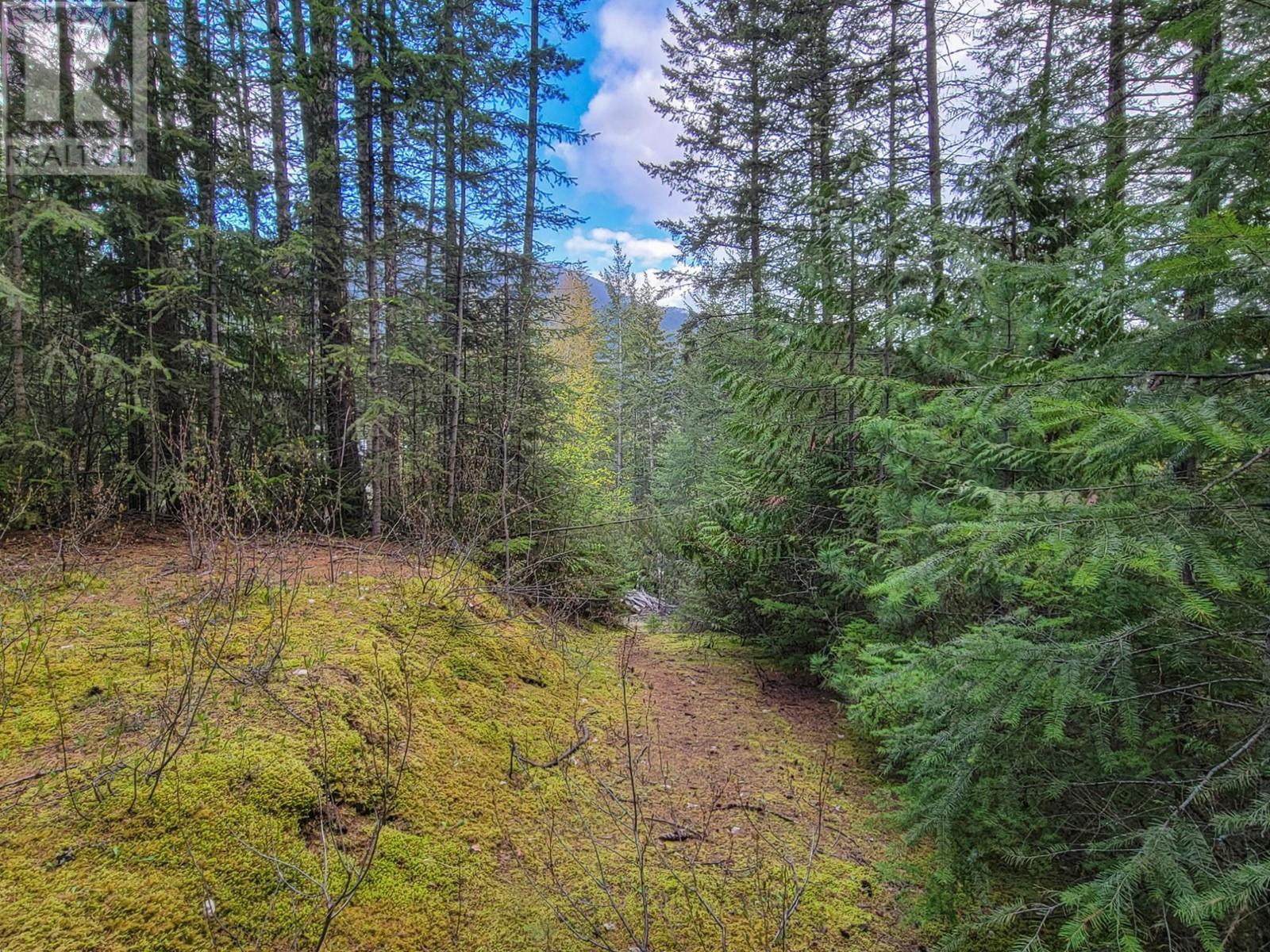 Lot 8 Balfour Avenue, Kaslo, British Columbia  V0G 1M0 - Photo 6 - 2476713