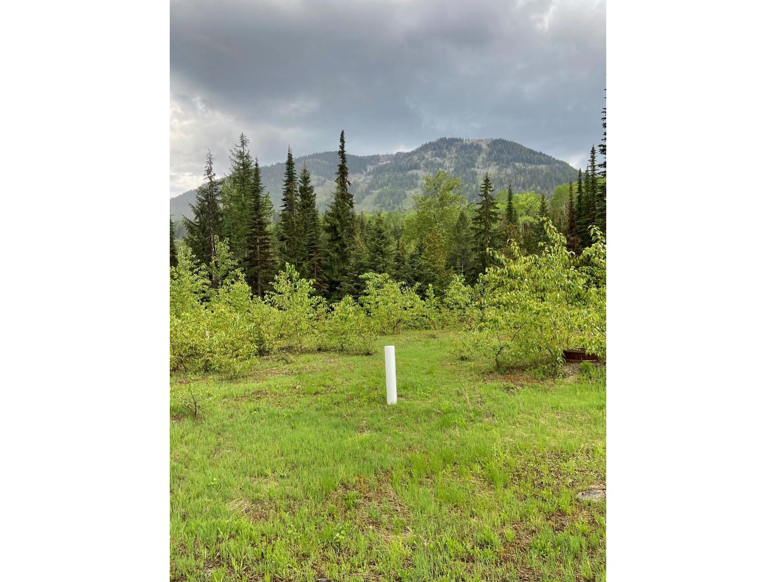 Lot 2 Granite View Road, Rossland, British Columbia  V0G 1Y0 - Photo 11 - 2476793