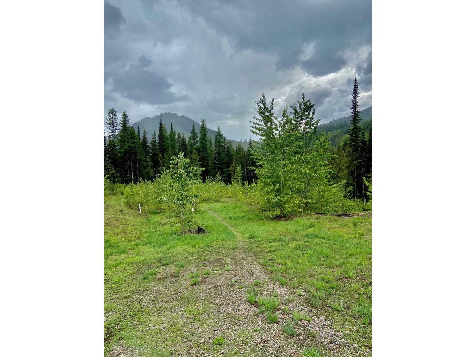 Lot 2 Granite View Road, Rossland, British Columbia  V0G 1Y0 - Photo 12 - 2476793