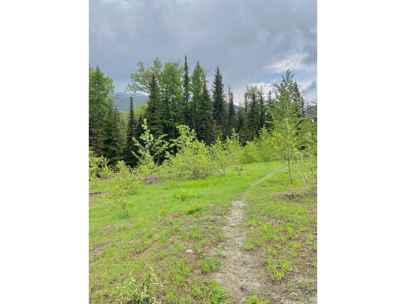 Lot 2 Granite View Road, Rossland, British Columbia  V0G 1Y0 - Photo 13 - 2476793