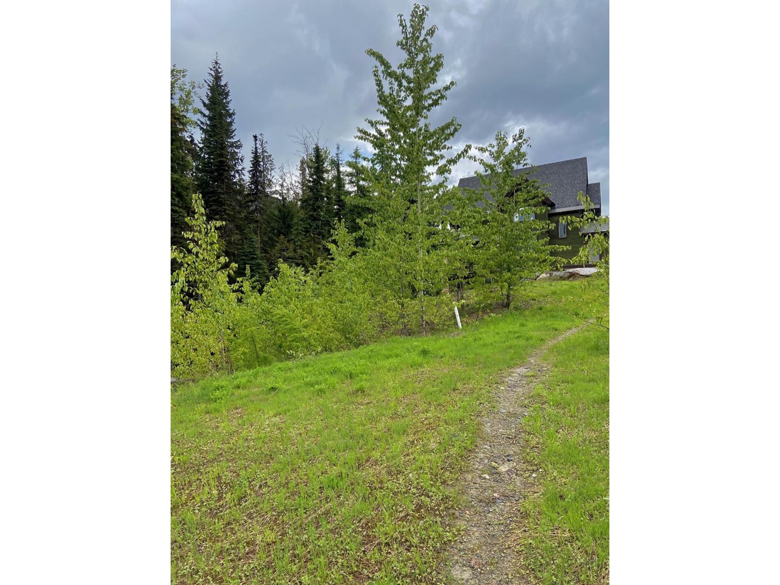 Lot 2 Granite View Road, Rossland, British Columbia  V0G 1Y0 - Photo 14 - 2476793