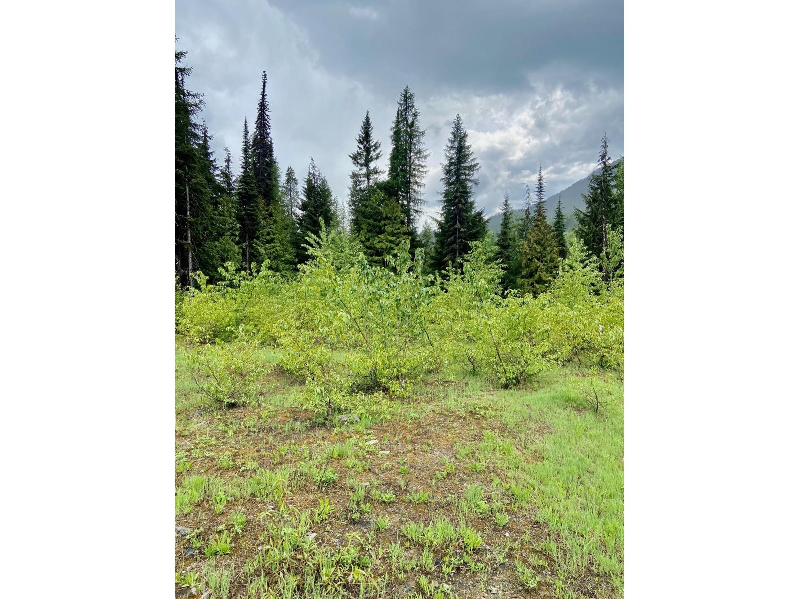 Lot 2 Granite View Road, Rossland, British Columbia  V0G 1Y0 - Photo 17 - 2476793