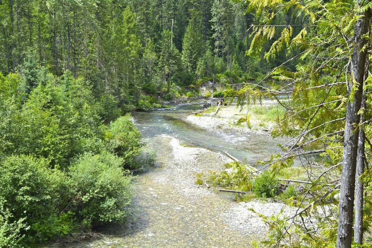 Lot 12 Mccormack Road, Burton, British Columbia  V0G 1E0 - Photo 2 - 2476999