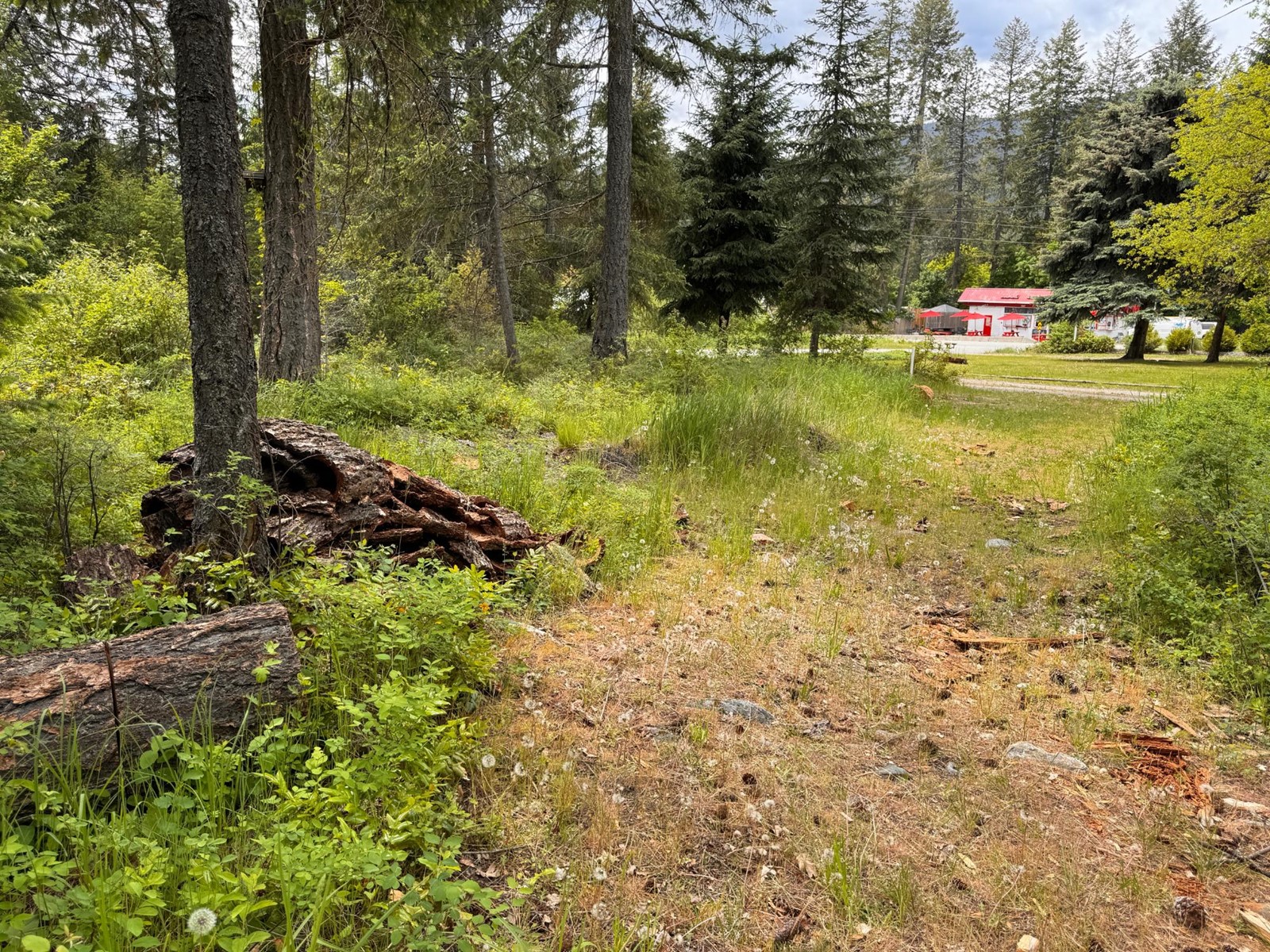 Lot 20 Kingsley Road, Christina Lake, British Columbia  V0H 1E2 - Photo 10 - 2477021