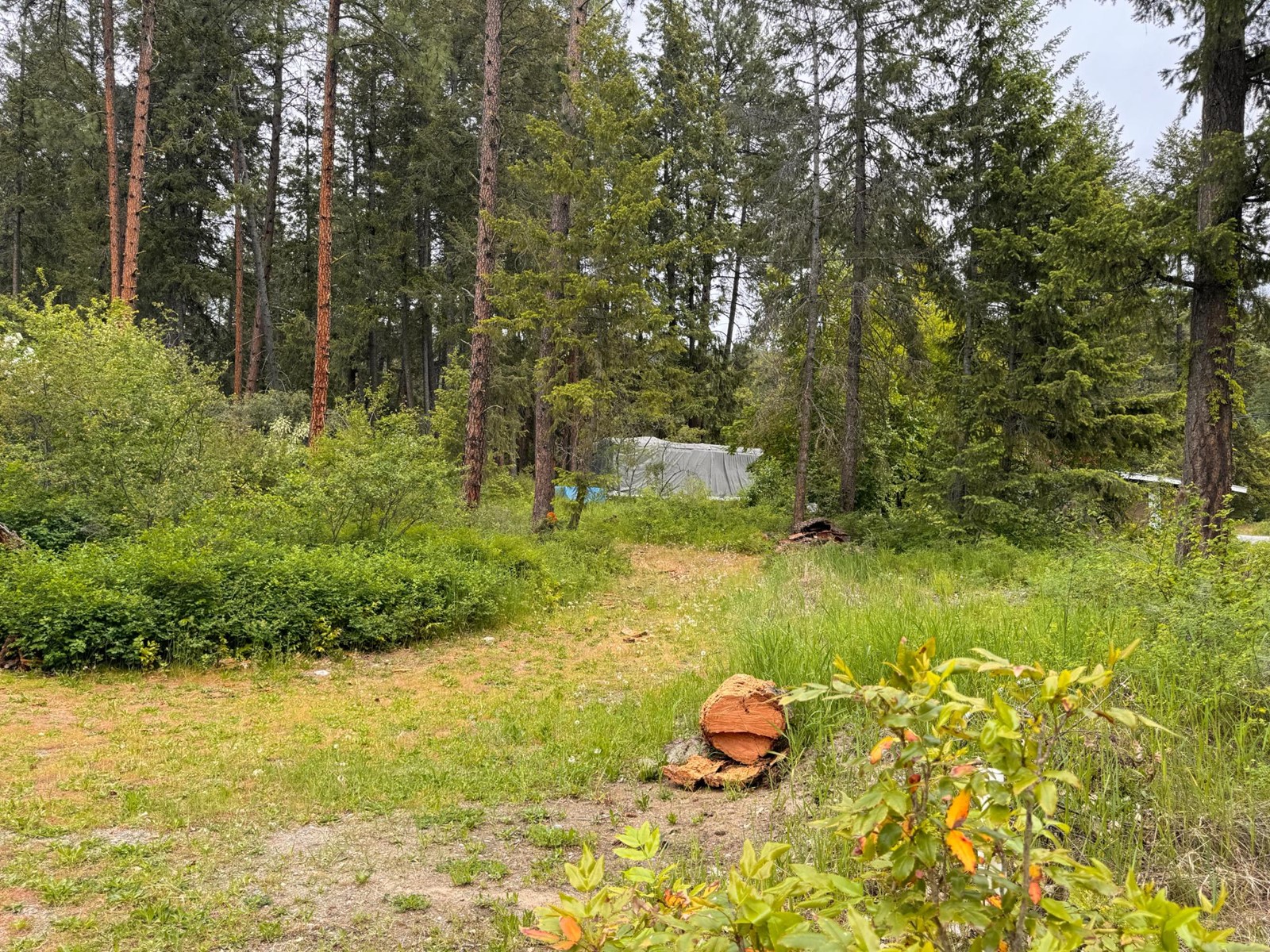 Lot 20 Kingsley Road, Christina Lake, British Columbia  V0H 1E2 - Photo 4 - 2477021