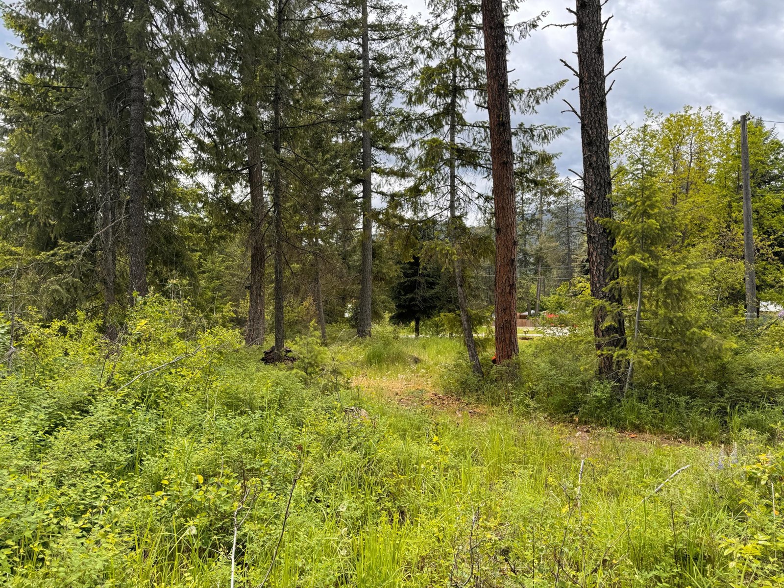 Lot 20 Kingsley Road, Christina Lake, British Columbia  V0H 1E2 - Photo 6 - 2477021