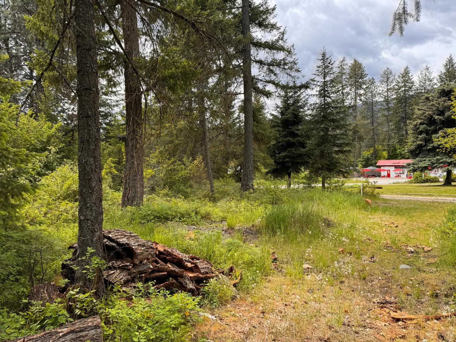 Lot 20 Kingsley Road, Christina Lake, British Columbia  V0H 1E2 - Photo 8 - 2477021