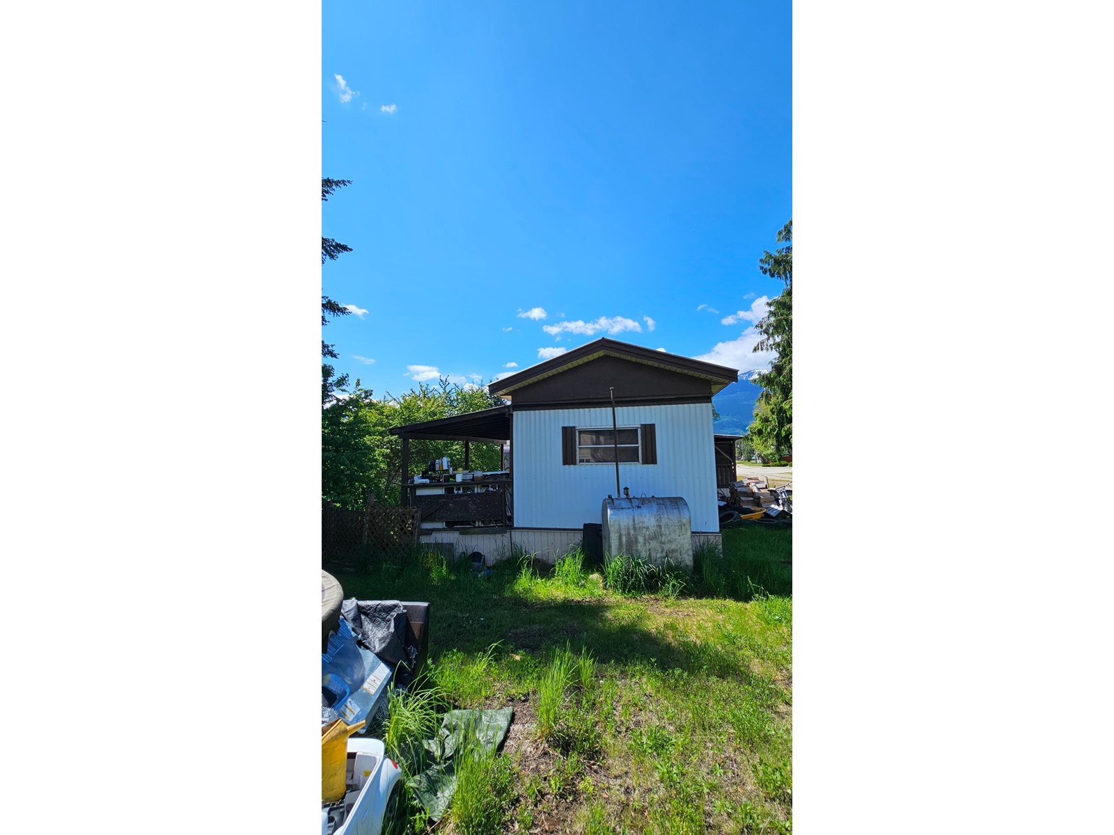 739 9th Avenue Nw, Nakusp, British Columbia  V0G 1R0 - Photo 6 - 2477152