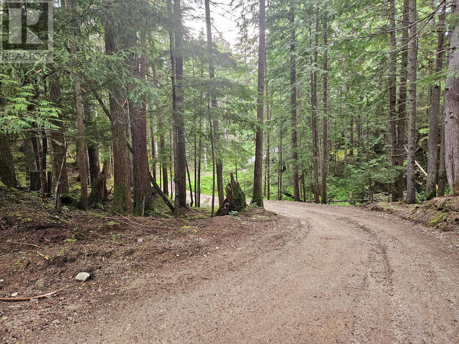 769 Beech Road, Nakusp, British Columbia  V0G 1R1 - Photo 11 - 2477359