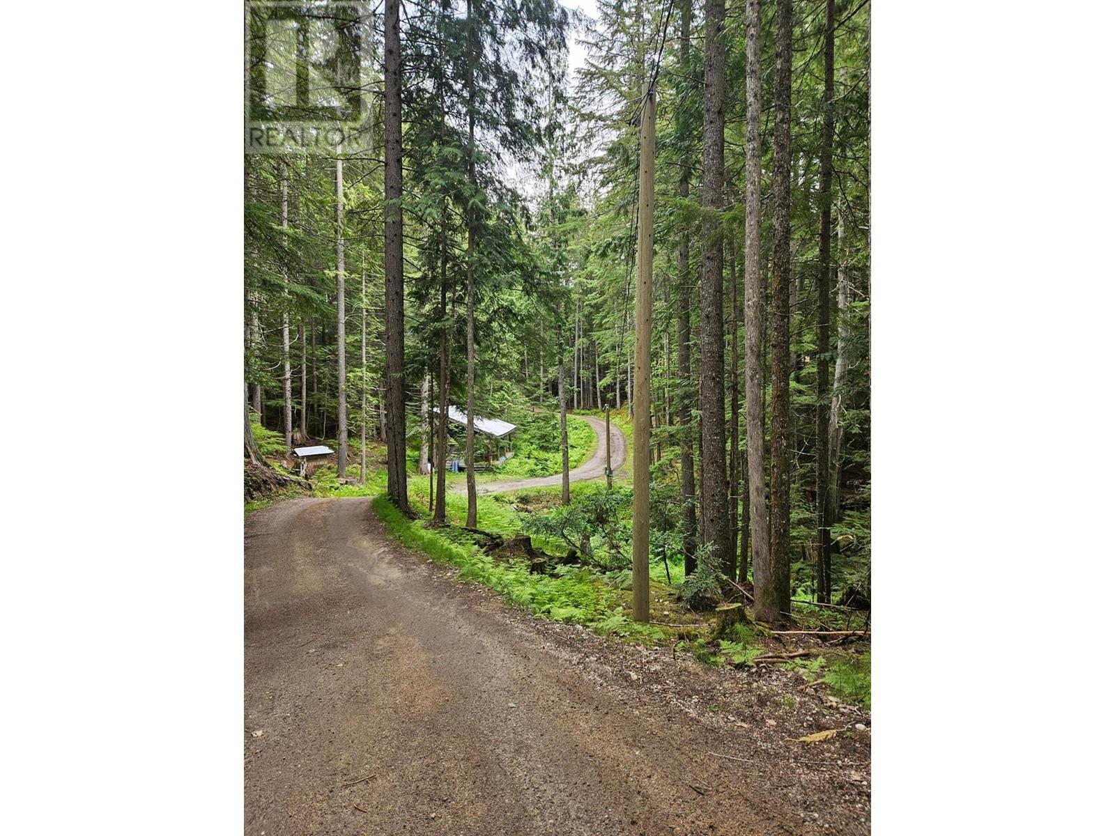 769 Beech Road, Nakusp, British Columbia  V0G 1R1 - Photo 2 - 2477359