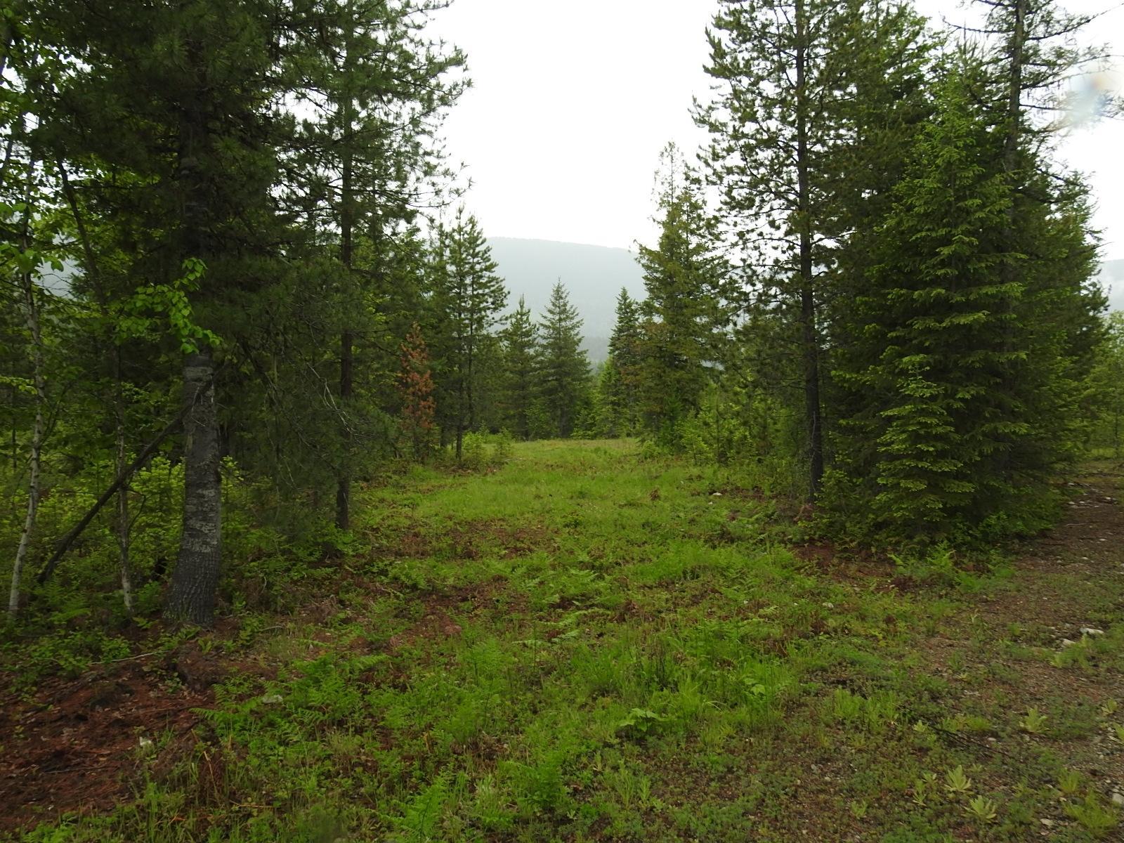 Lot F Calder Road, Edgewood, British Columbia  V0G 1J0 - Photo 11 - 2477454