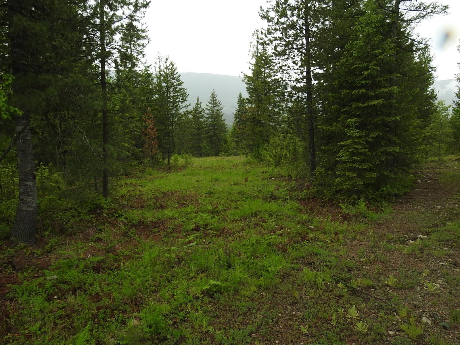 Lot F Calder Road, Edgewood, British Columbia  V0G 1J0 - Photo 13 - 2477454