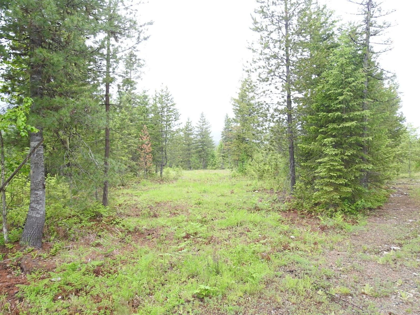 Lot F Calder Road, Edgewood, British Columbia  V0G 1J0 - Photo 14 - 2477454