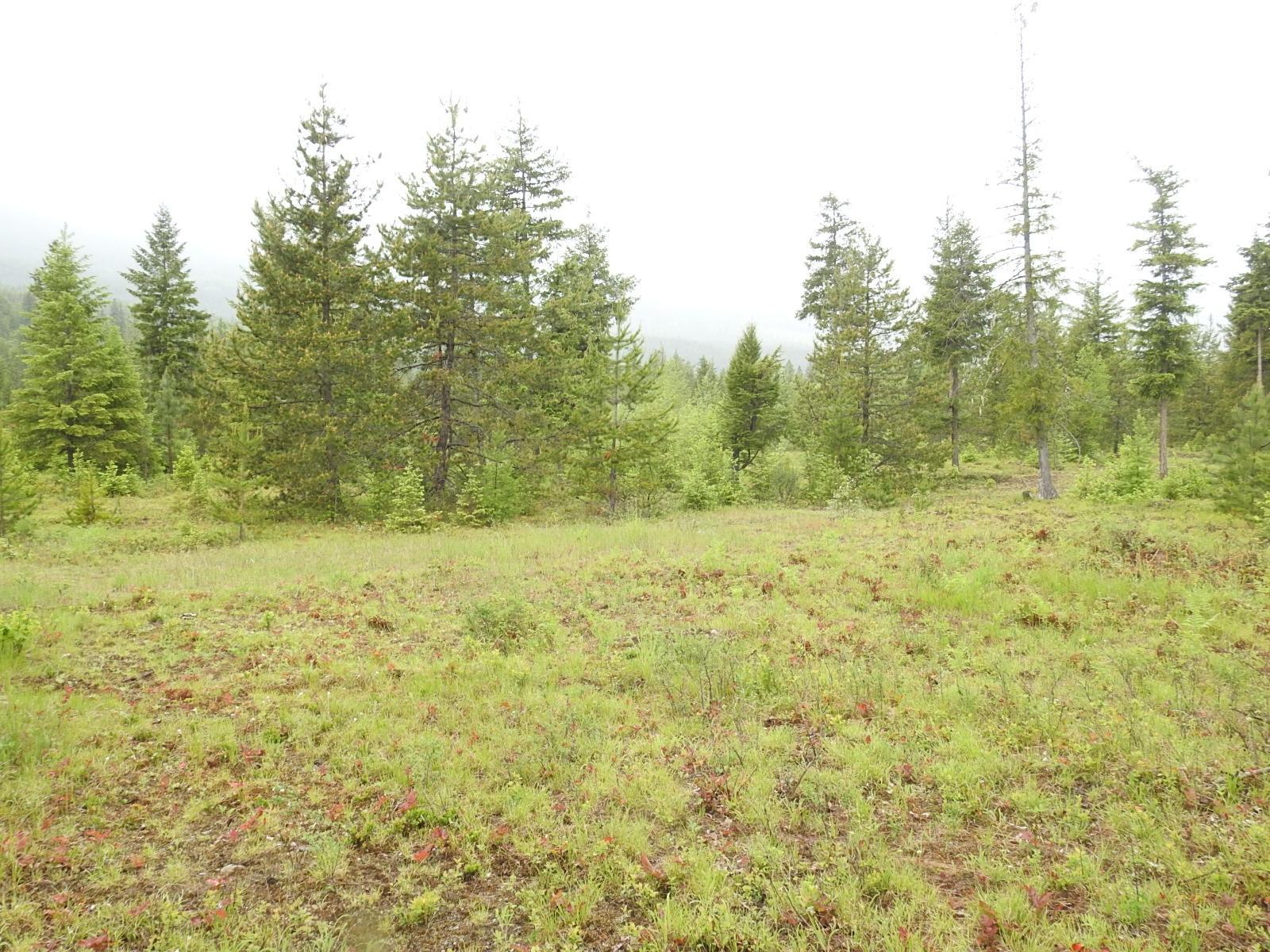 Lot F Calder Road, Edgewood, British Columbia  V0G 1J0 - Photo 17 - 2477454