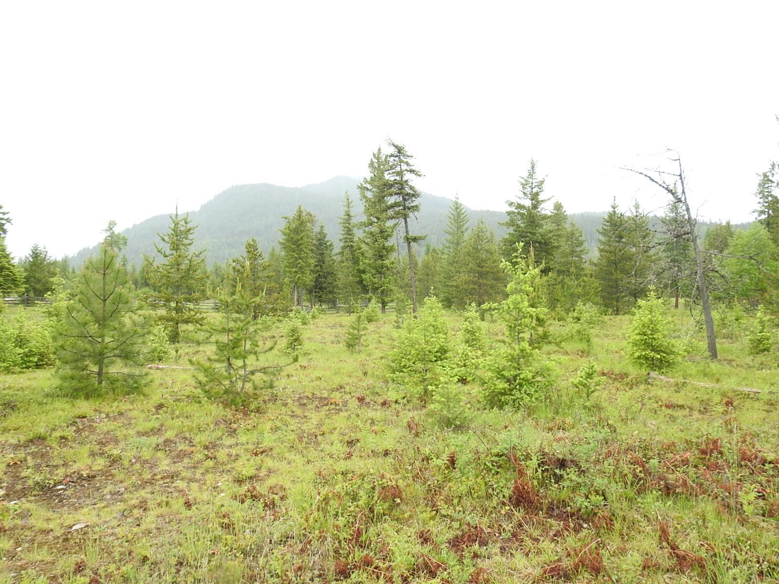 Lot F Calder Road, Edgewood, British Columbia  V0G 1J0 - Photo 18 - 2477454