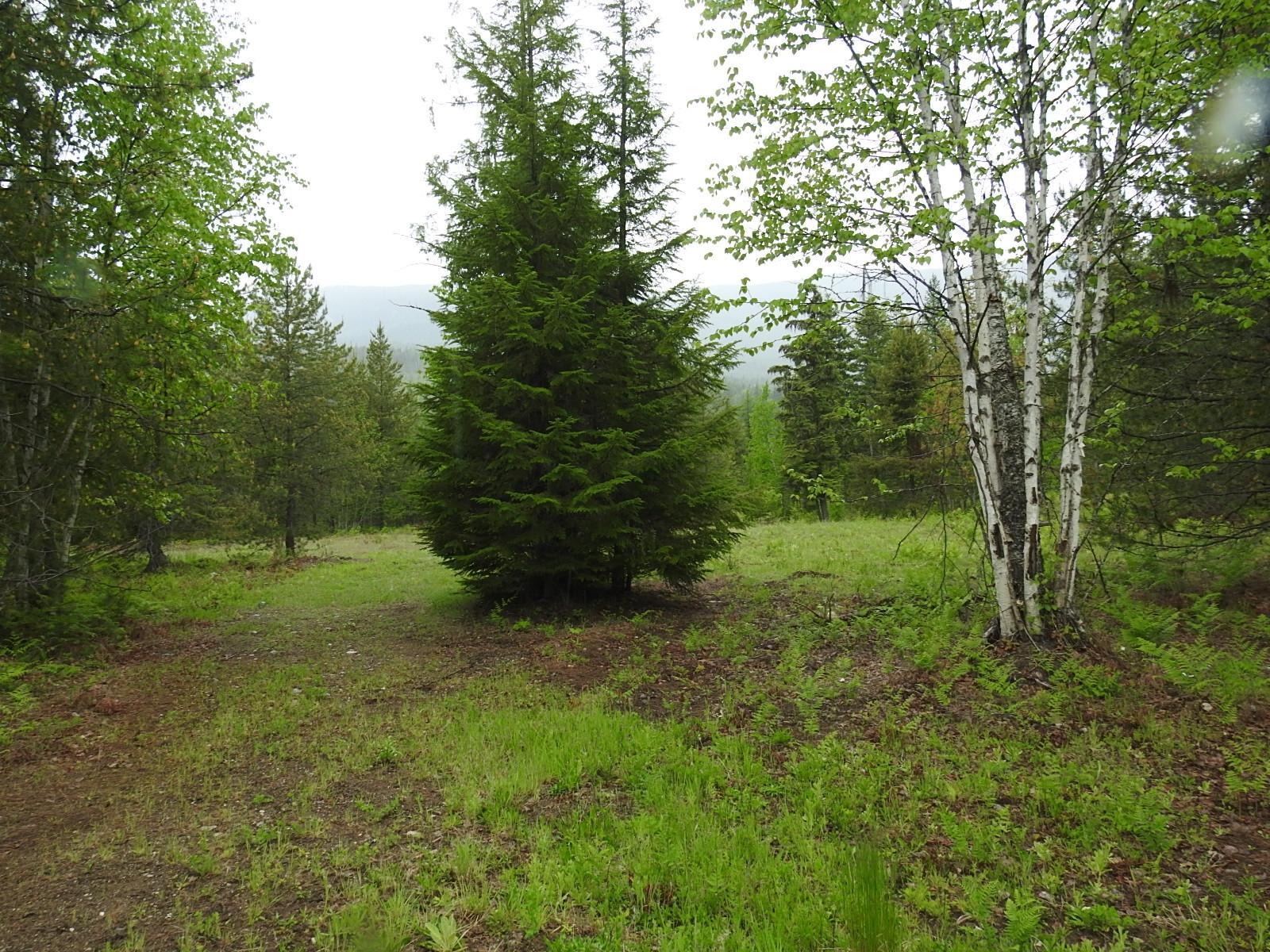 Lot F Calder Road, Edgewood, British Columbia  V0G 1J0 - Photo 7 - 2477454