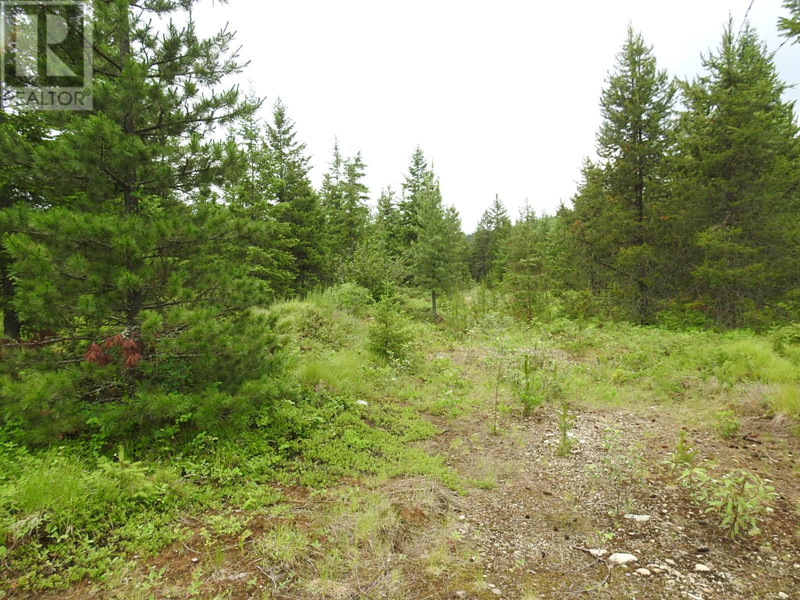 9700 6 Highway, Edgewood, British Columbia  V0G 1J0 - Photo 23 - 2477581