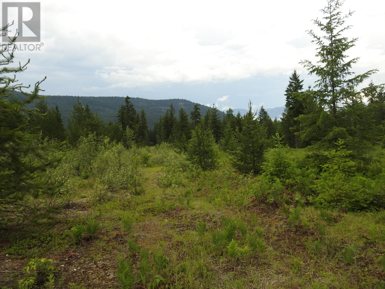 9700 6 Highway, Edgewood, British Columbia  V0G 1J0 - Photo 24 - 2477581