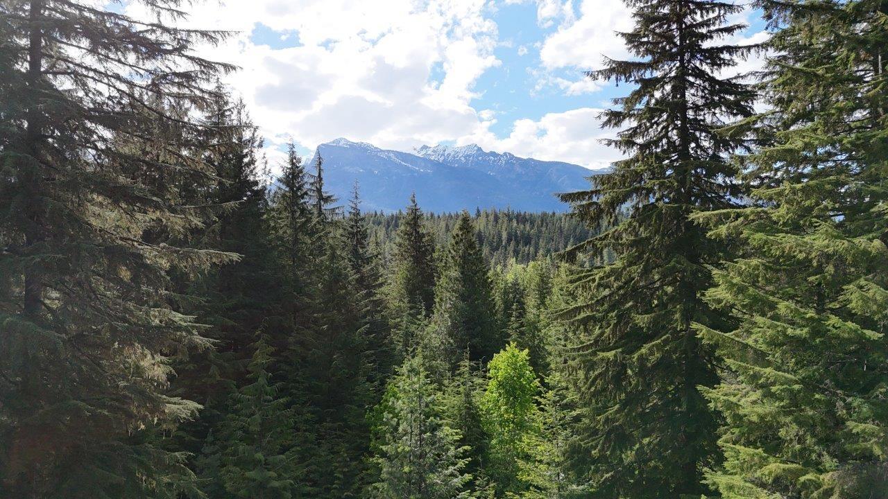 Lot 1 Red Mountain Rd, Silverton, British Columbia  V0G 2B0 - Photo 11 - 2477656