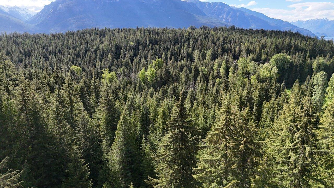 Lot 1 Red Mountain Rd, Silverton, British Columbia  V0G 2B0 - Photo 12 - 2477656