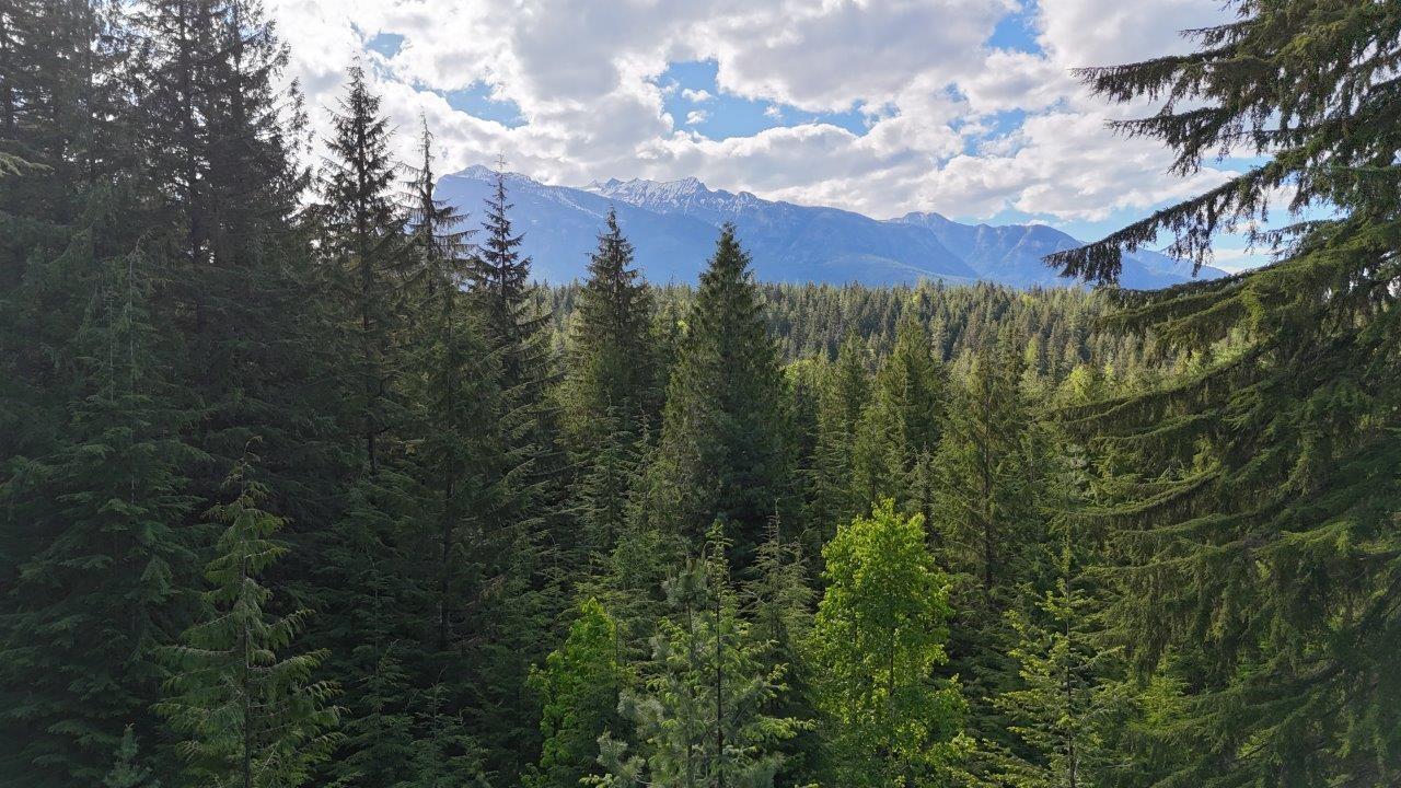 Lot 1 Red Mountain Rd, Silverton, British Columbia  V0G 2B0 - Photo 13 - 2477656