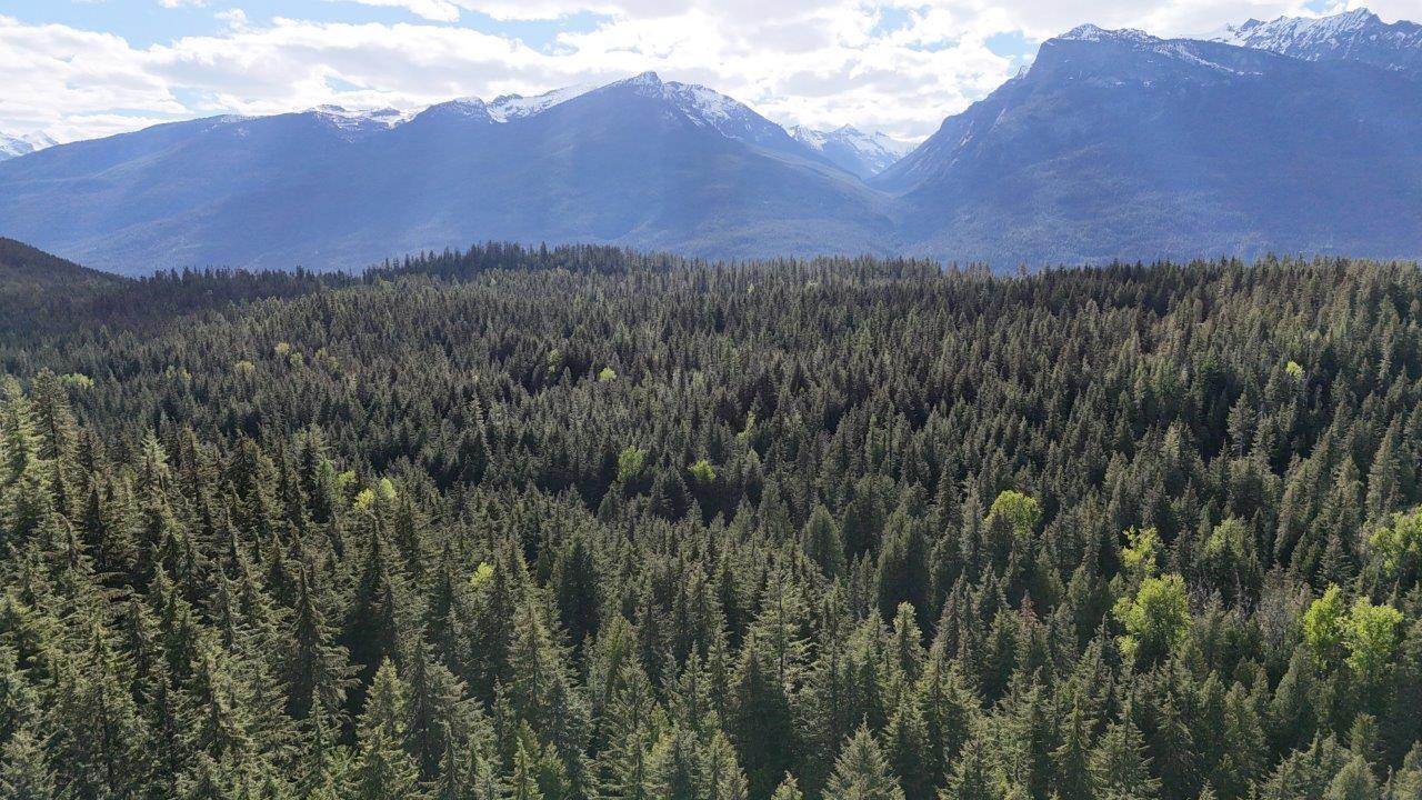 Lot 1 Red Mountain Rd, Silverton, British Columbia  V0G 2B0 - Photo 14 - 2477656