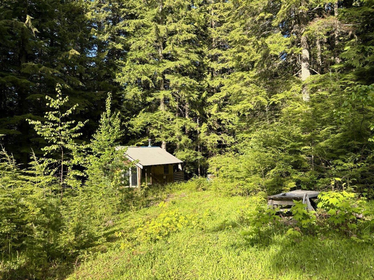 Lot 1 Red Mountain Rd, Silverton, British Columbia  V0G 2B0 - Photo 16 - 2477656