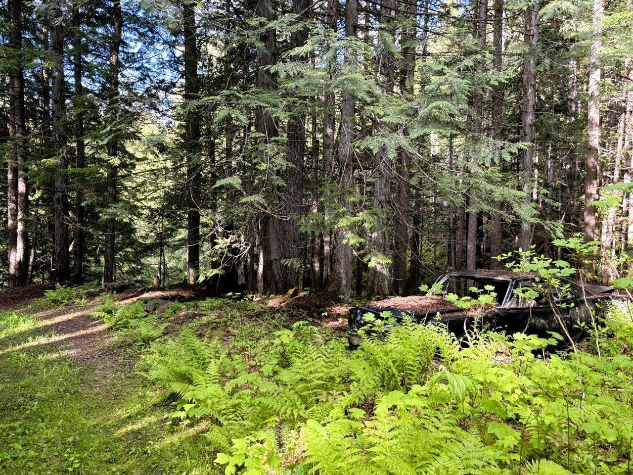 Lot 1 Red Mountain Rd, Silverton, British Columbia  V0G 2B0 - Photo 23 - 2477656