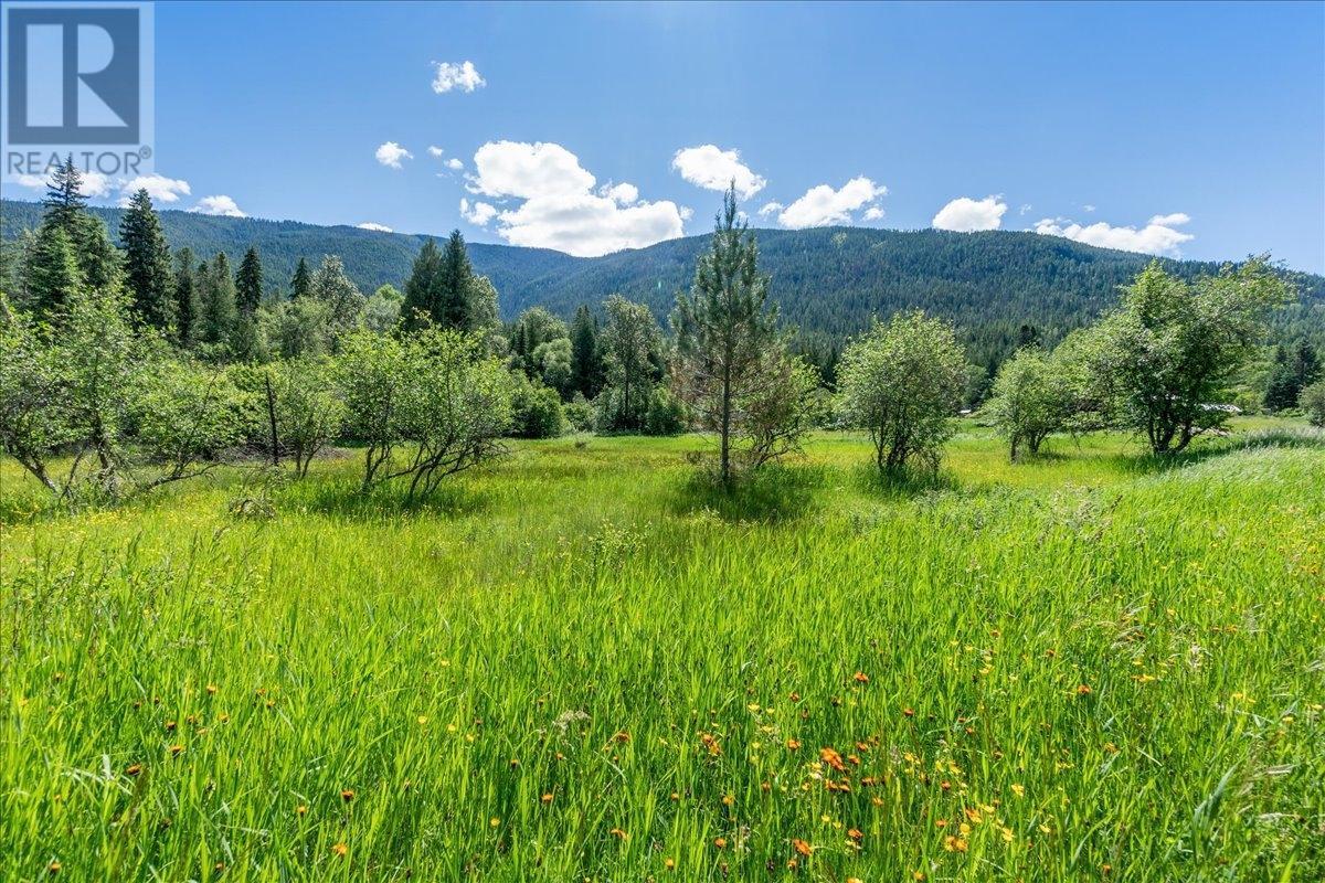 Lot 1 Graham Road, Appledale, British Columbia  V0G 2J0 - Photo 24 - 2477693