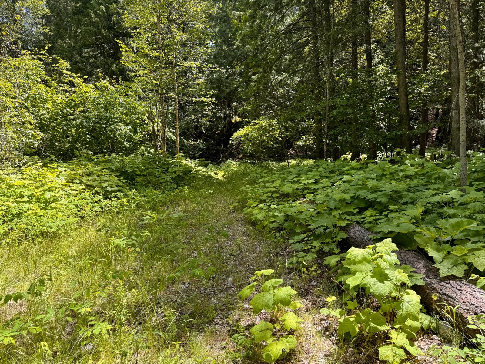 26 - 1500 Neimi Road, Christina Lake, British Columbia  V0H 1E2 - Photo 6 - 2477708