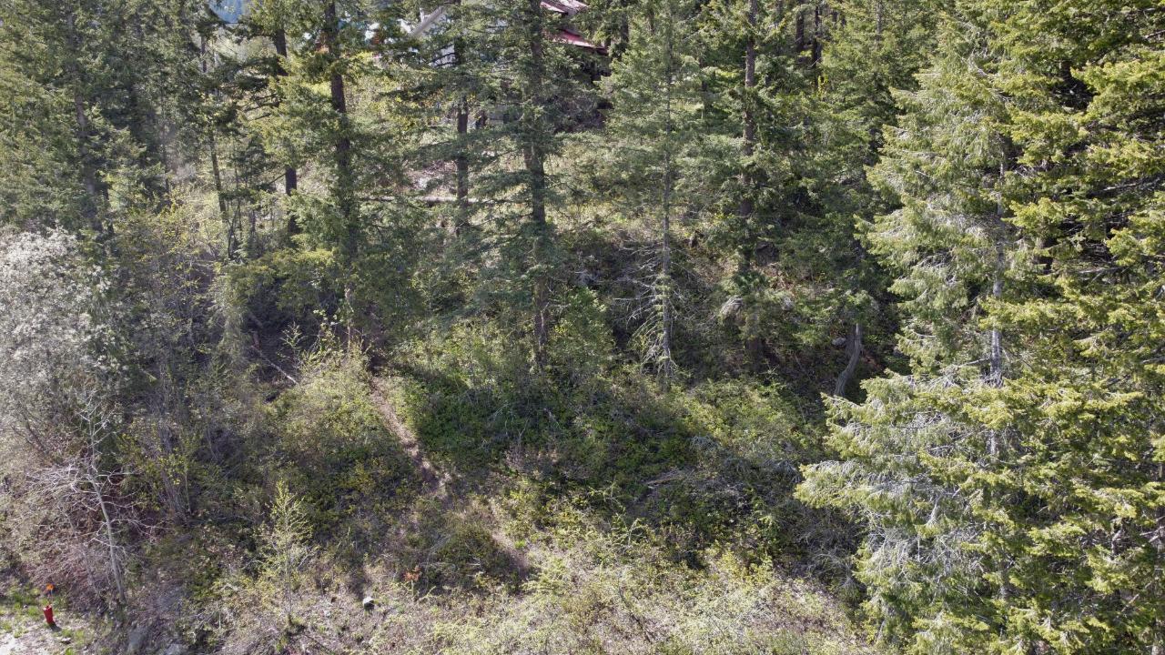 Lot 1 Mcleod Avenue, Rossland, British Columbia  V0G 1Y0 - Photo 16 - 2477871