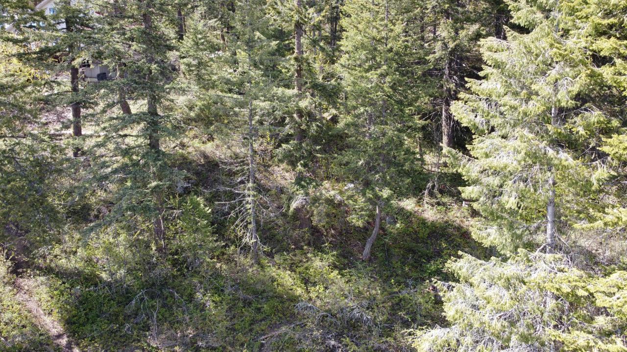 Lot 1 Mcleod Avenue, Rossland, British Columbia  V0G 1Y0 - Photo 20 - 2477871