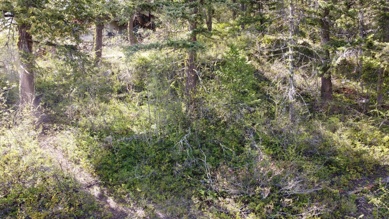 Lot 1 Mcleod Avenue, Rossland, British Columbia  V0G 1Y0 - Photo 23 - 2477871