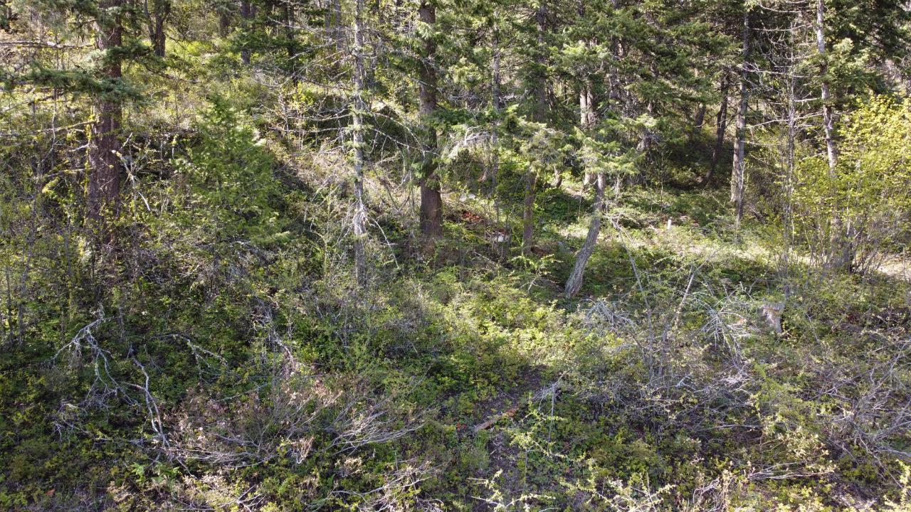 Lot 1 Mcleod Avenue, Rossland, British Columbia  V0G 1Y0 - Photo 24 - 2477871