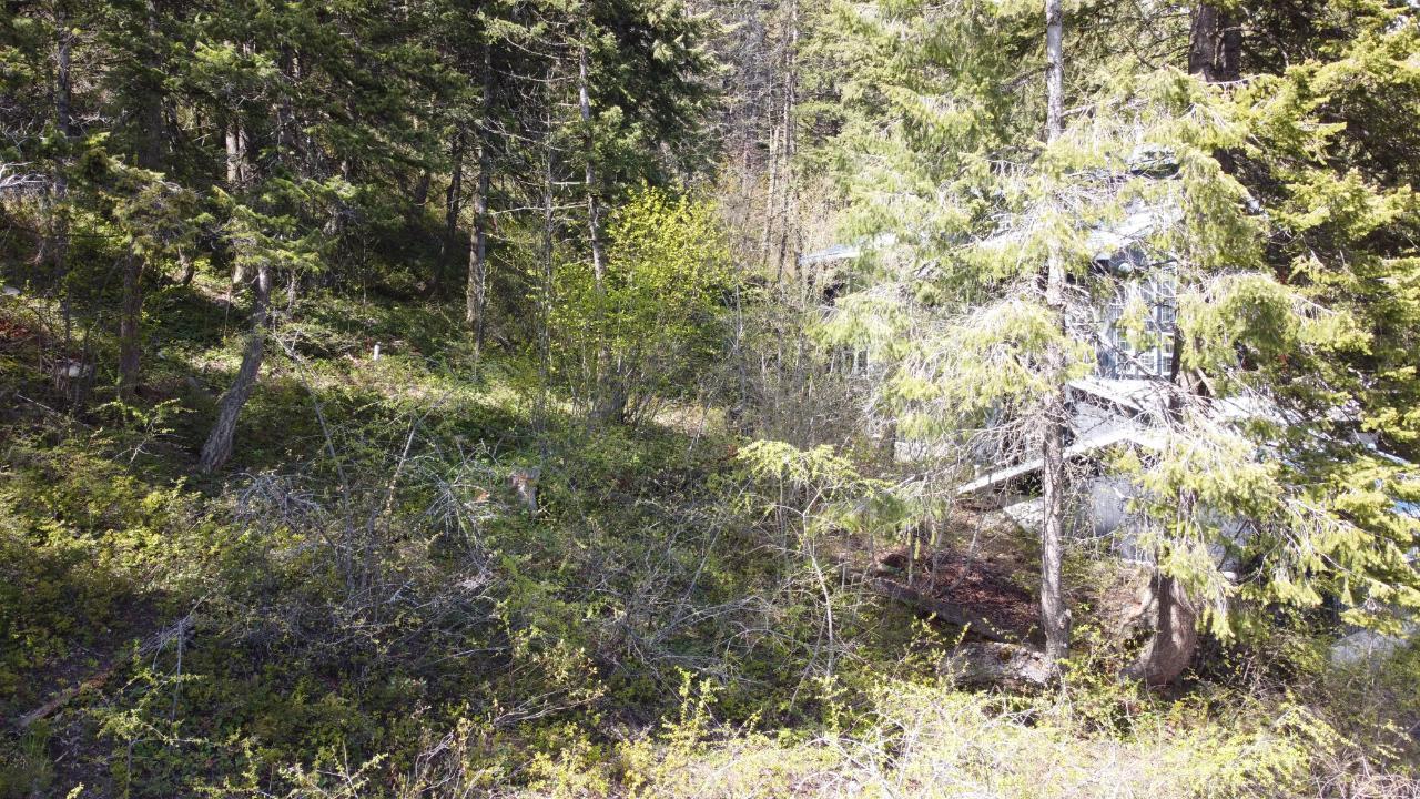 Lot 1 Mcleod Avenue, Rossland, British Columbia  V0G 1Y0 - Photo 25 - 2477871