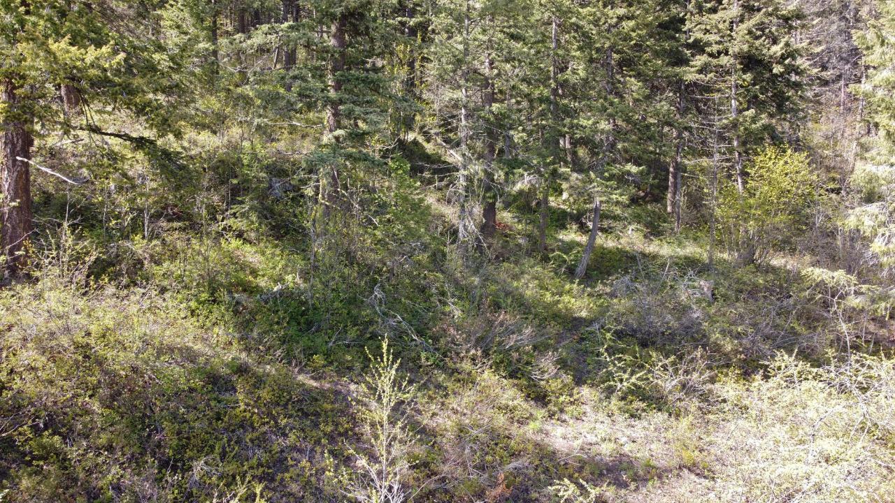 Lot 1 Mcleod Avenue, Rossland, British Columbia  V0G 1Y0 - Photo 27 - 2477871