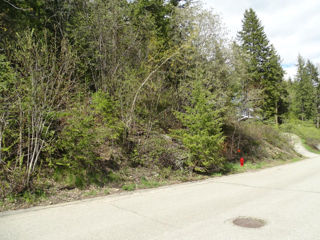 Lot 1 Mcleod Avenue, Rossland, British Columbia  V0G 1Y0 - Photo 3 - 2477871