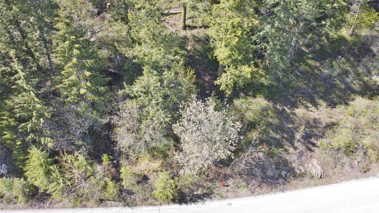 Lot 1 Mcleod Avenue, Rossland, British Columbia  V0G 1Y0 - Photo 33 - 2477871