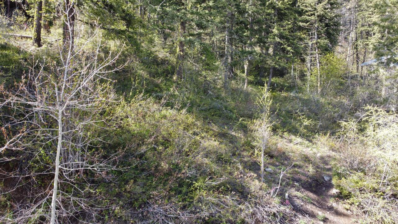 Lot 1 Mcleod Avenue, Rossland, British Columbia  V0G 1Y0 - Photo 37 - 2477871