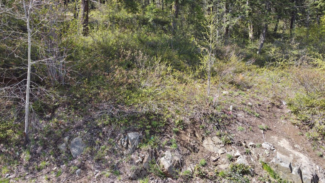 Lot 1 Mcleod Avenue, Rossland, British Columbia  V0G 1Y0 - Photo 38 - 2477871