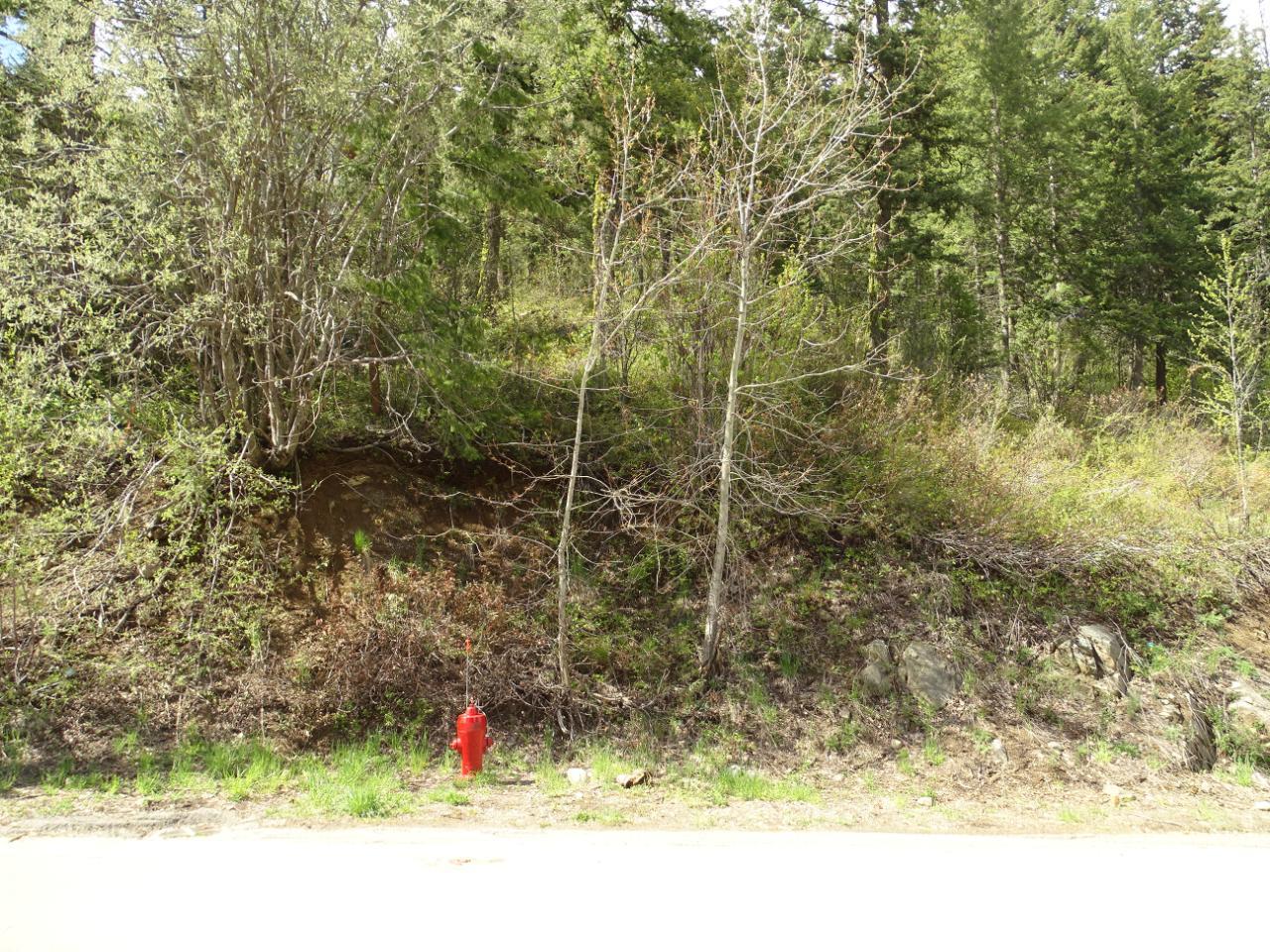 Lot 1 Mcleod Avenue, Rossland, British Columbia  V0G 1Y0 - Photo 4 - 2477871