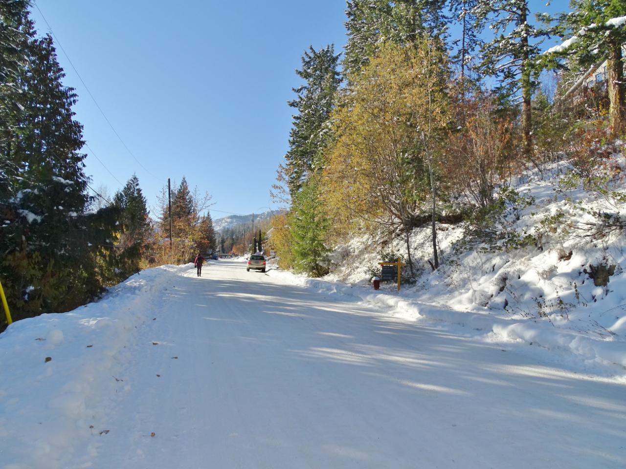 Lot 1 Mcleod Avenue, Rossland, British Columbia  V0G 1Y0 - Photo 41 - 2477871