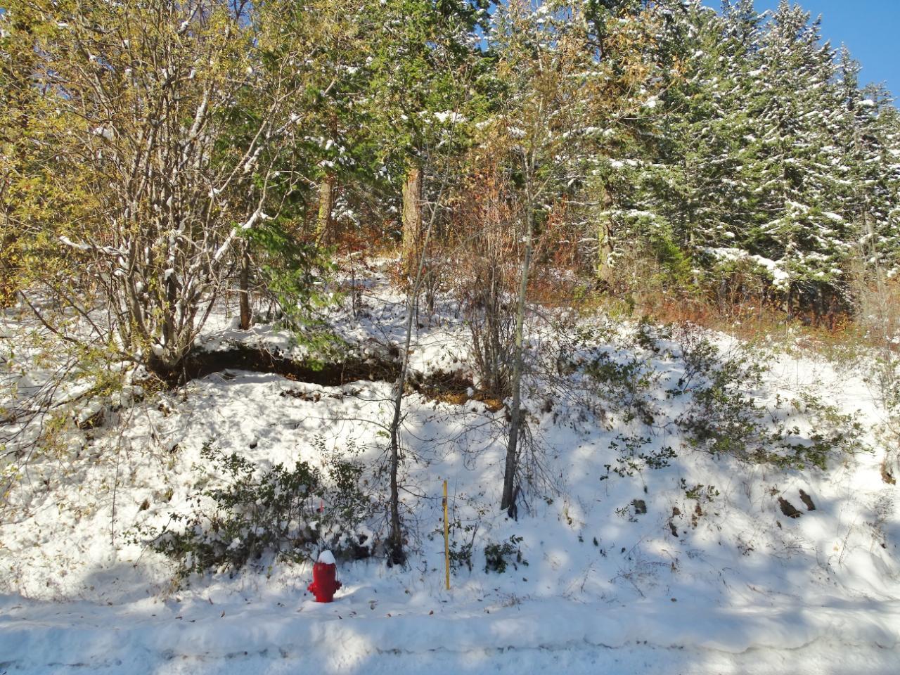 Lot 1 Mcleod Avenue, Rossland, British Columbia  V0G 1Y0 - Photo 44 - 2477871