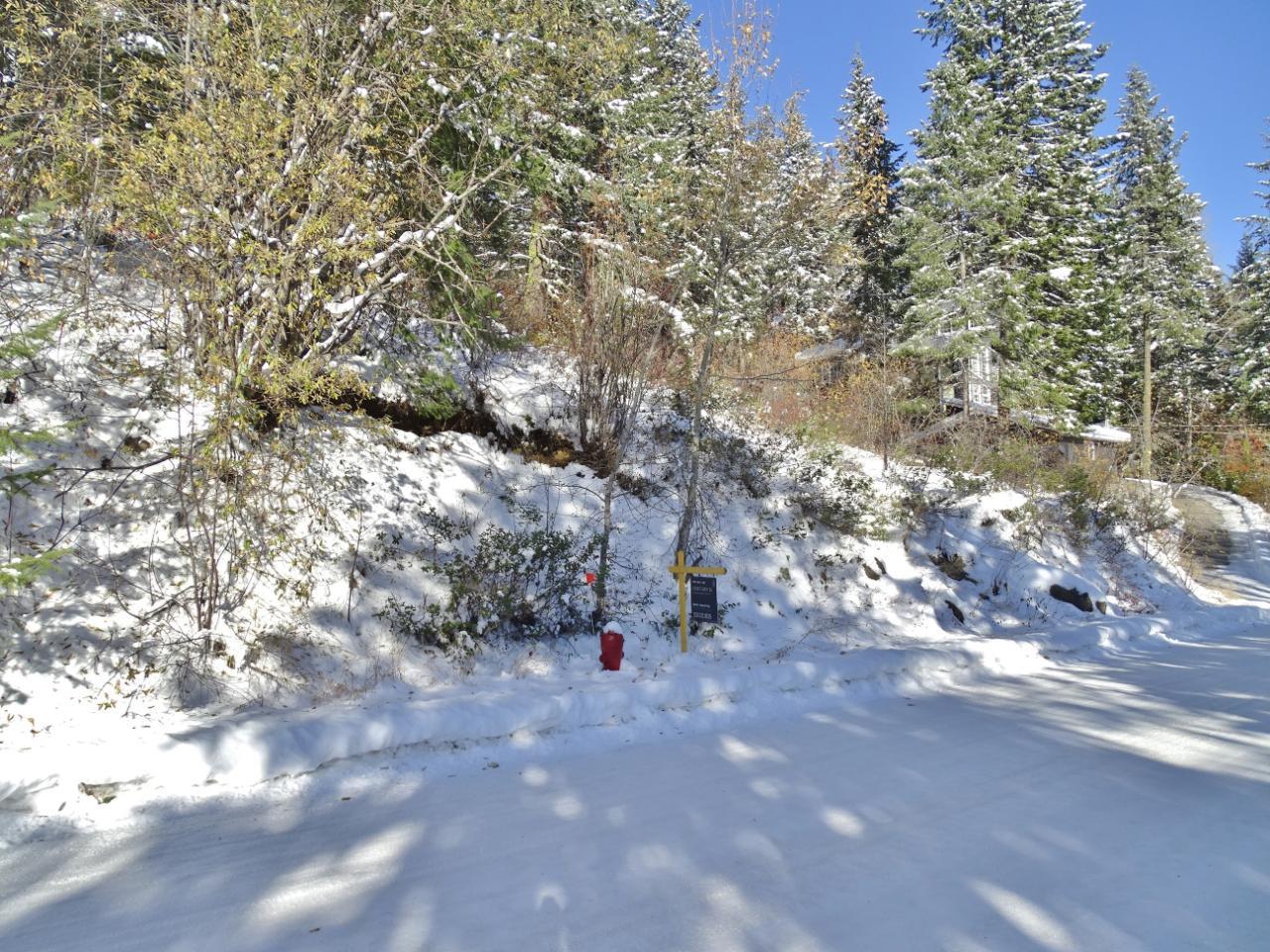 Lot 1 Mcleod Avenue, Rossland, British Columbia  V0G 1Y0 - Photo 45 - 2477871