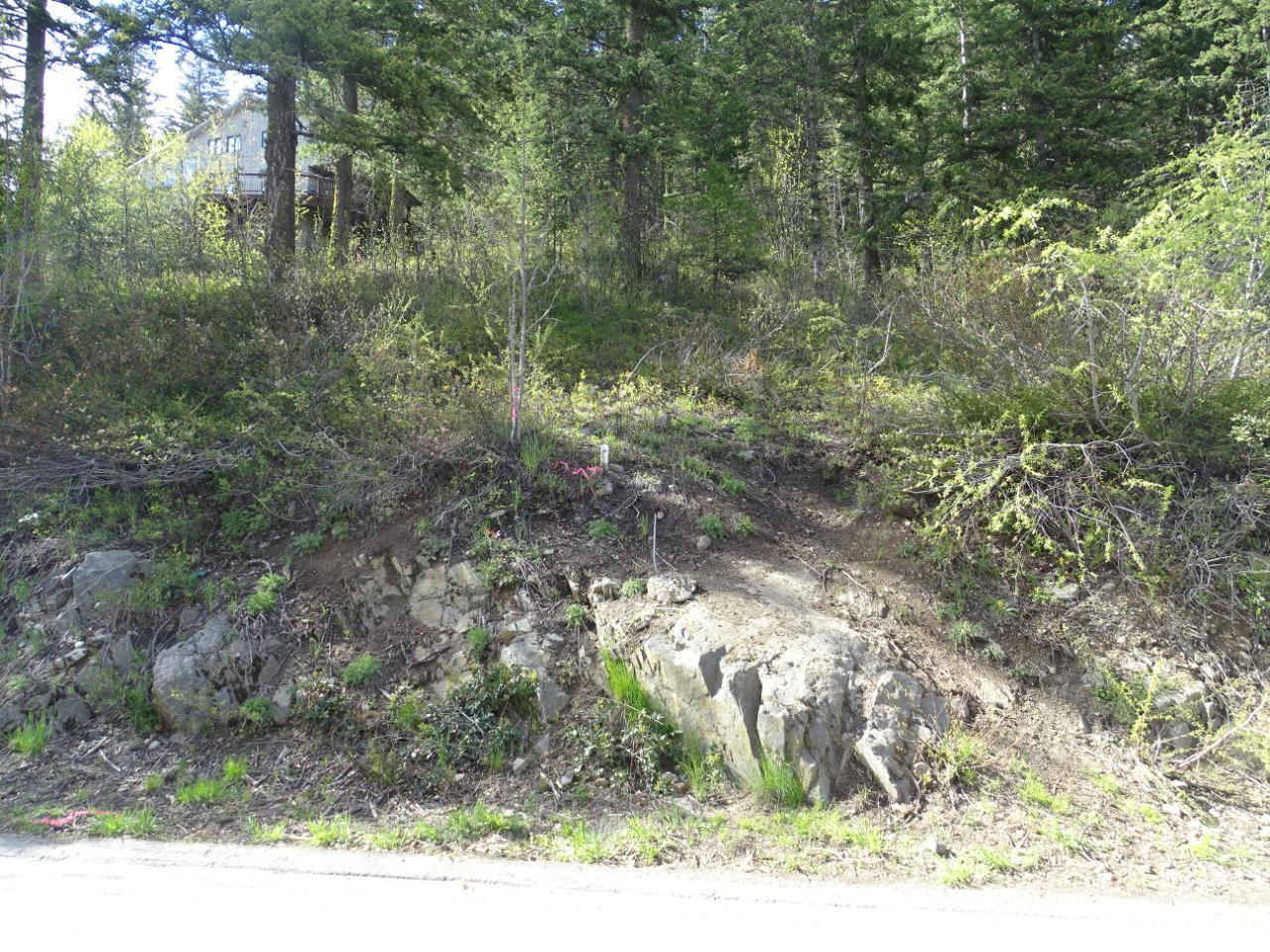 Lot 1 Mcleod Avenue, Rossland, British Columbia  V0G 1Y0 - Photo 6 - 2477871