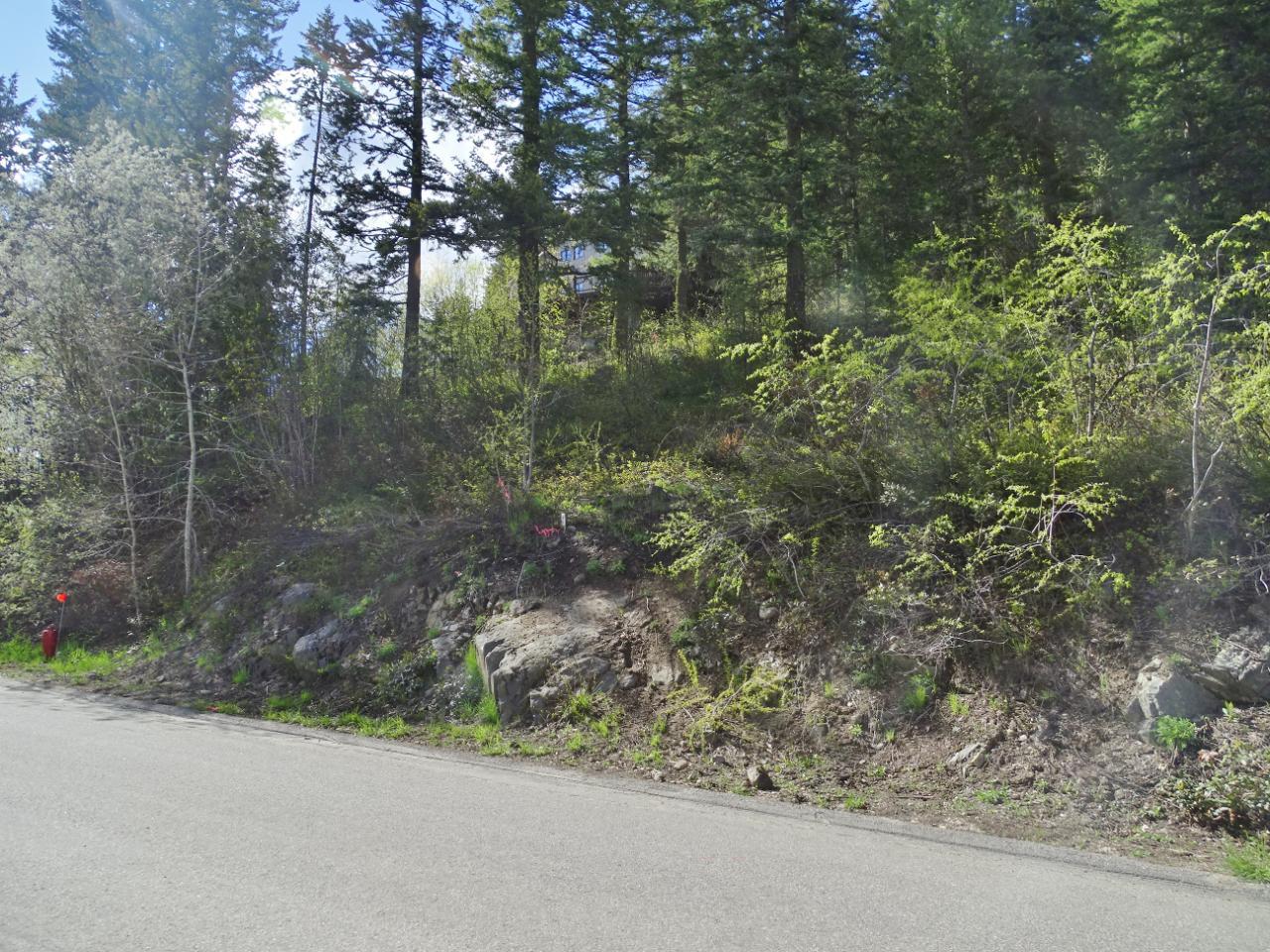 Lot 1 Mcleod Avenue, Rossland, British Columbia  V0G 1Y0 - Photo 7 - 2477871