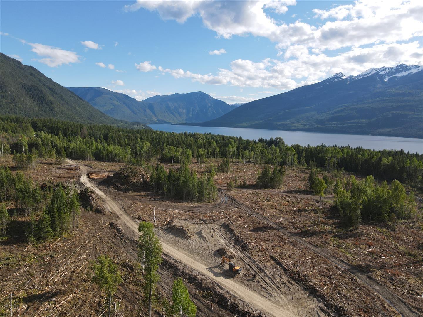 944 Guidon Road, Nakusp, British Columbia  V0G 1R1 - Photo 1 - 2477913